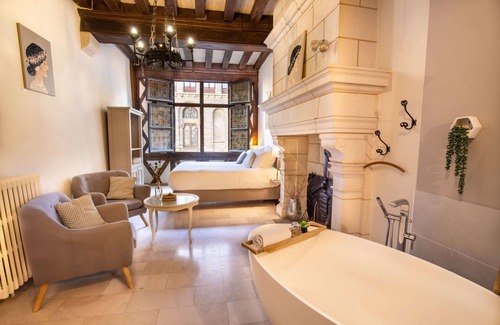 Downtown Angers Bed & Breakfast | L'Oisellerie meublé de tourisme
