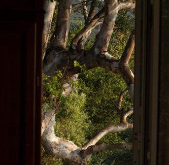 Castellabate Villa | L'Orizzonte di Punta Tresino