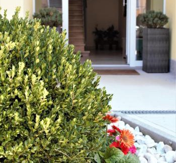 Cremona House | La Bicicletta Rooms