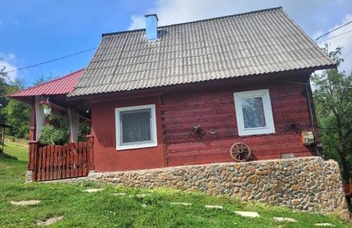 Avram Iancu House | La căsuță