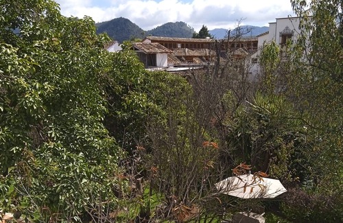 De Mexicanos House | La Casa Del Rio in Downtown with fully furnished Terrace