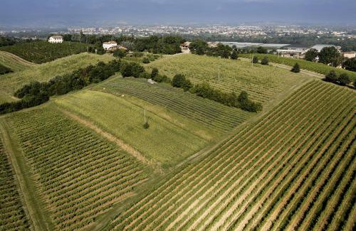 Savignano sul Panaro House | La Ca dal Non Bioagriturismo - Alpenice
