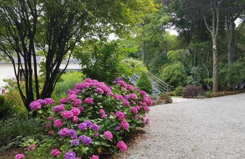 Cleder Bed & Breakfast | La Canopée des Pins