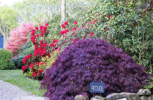 Cleder Bed & Breakfast | La Canopée des Pins