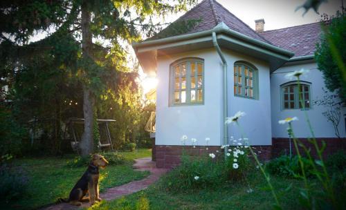Alsóörs Villa | La Casa Nonna