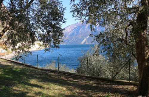 Limone sul Garda Apartment | La Casa sul Lago Apartments - Olive Tree Apartment