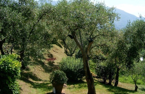 Camaiore House | La Casa tra gli Ulivi - Discounts depending on length of stay.