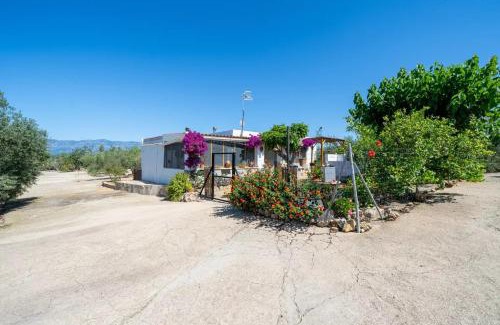 Amposta Apartment | La caseta dels iaios