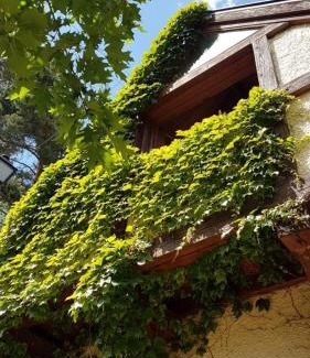 Navacerrada Ski Chalet | La Casita de Navacerrada