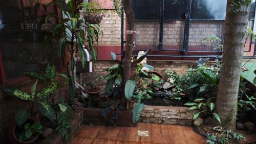 Puerto Iguazu House | La Casona de Mabel