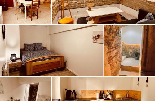 Renaison Apartment | La Cave aux Lumières - Proche centre-ville - 2 chambres - Wifi