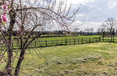Saint-Symphorien-des-Bois House | La Cigale du Soleil - SAINT SYMPHORIEN DES BOIS