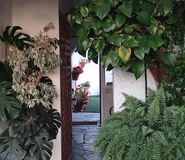 Navas del Rey Cabin | La Cubertilla en Madrid