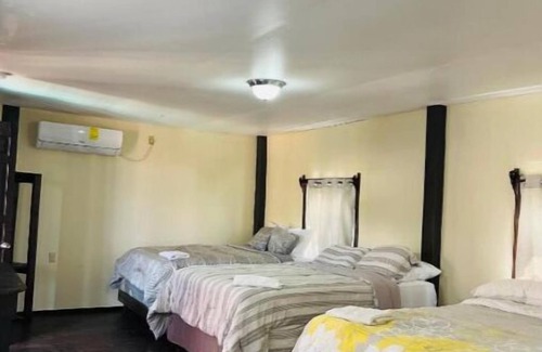 Corozal House | La Delphina Bed and Breakfast Bar and Grill Deluxe Family Room