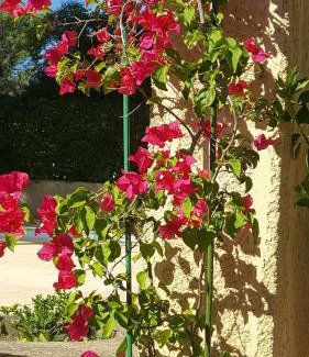 Langlade Bed & Breakfast | La demeure d'Hélice