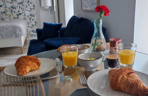 Saint-Serge Apartment | La Douce Angevine - La Chouette - Proche Centre