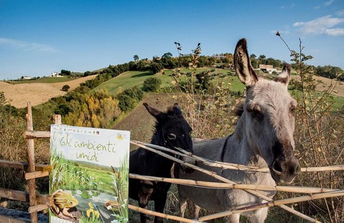 Marciano House | La Fattoria delle Coccinelle