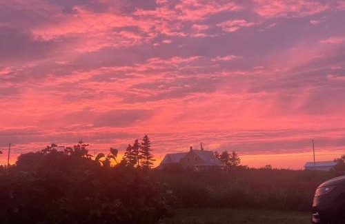 Cap-des-Rosiers Bed & Breakfast | La Forillonne