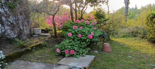 Cavaglia House | La Ginestra