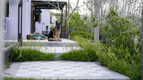 Las Gaviotas Apartment | La Mamunia