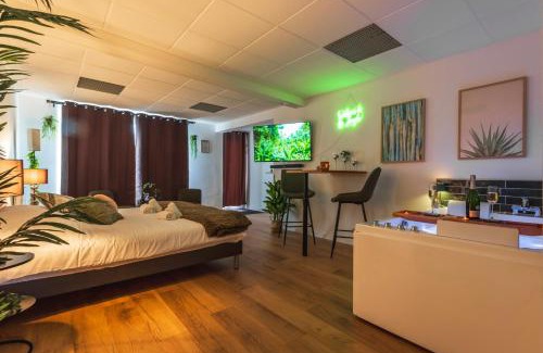Schweighouse-sur-Moder Apartment | La Petite Jungle Romantique - Balnéo et Détente