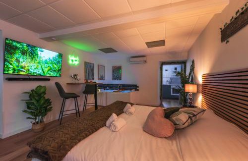 Schweighouse-sur-Moder Apartment | La Petite Jungle Romantique - Balnéo et Détente