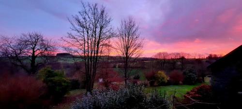 Saint-Omer Bed & Breakfast | La Petite Taupe - Chambres d'hôtes