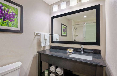 Wellborn Hotel | La Quinta Inn & Suites by Wyndham College Station South