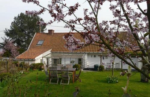 Ronse House | La Quitapenas