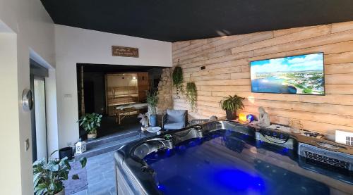 Buhl-Lorraine Bed & Breakfast | La suite Mélusine - SPA du Souffle du Saule