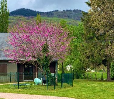 Bielle Apartment | La Suite Unique - Le jardin sur les Pyrénées- vue panoramique montagne -jardin clôturé privé de 100m2-Parking-Linge de lit et serviettes compris-