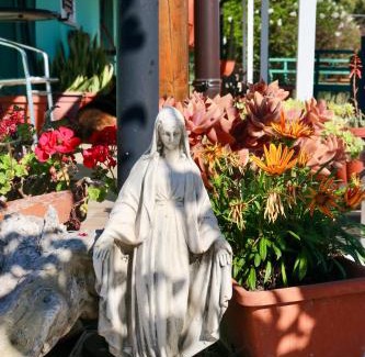 Scanzano Jonico Bed & Breakfast | La tenuta dei venti