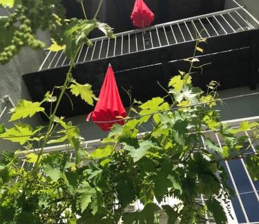 Govone House | La Vite è Bella