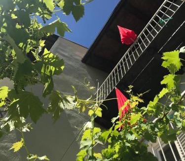 Govone House | La Vite è Bella