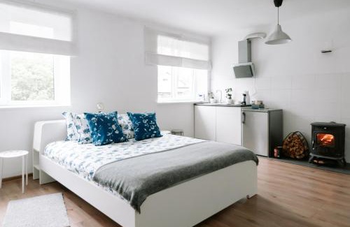 Aluksne Apartment | Lake Aluksne studio apartment