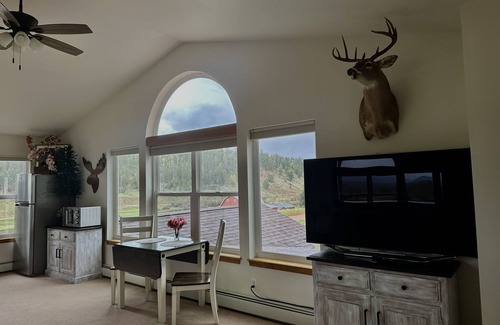 Spring Valley House | Lake front property, Pikes Peak view from living room, hot tub
