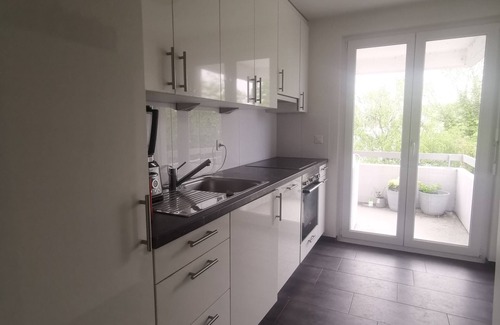 Horgen District Apartment | Lake view & access designer apartment