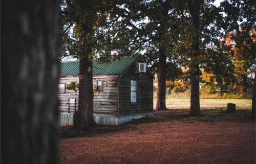 Mead House | Lakefront Cedar Cabin - 8