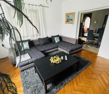 Bekecs Apartment | LakePark Garden Villa with swimming pool & park