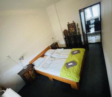 Bekecs Apartment | LakePark Garden Villa with swimming pool & park