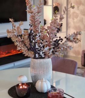 Sarvar Apartment | Lakeside Luxury Apartman Sárvár