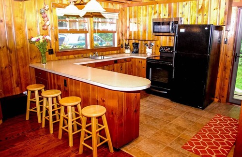 Naples Cabin | ⭐LAKESIDE STORY⭐2BR Log Cabin⭐ Fire Pit, Views!⭐