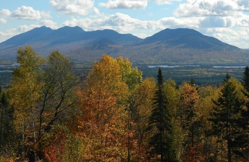 Stratton House | Lakeview Haven: 2 Unit, 4BR, Sleep 10, Pet-Friendly!
