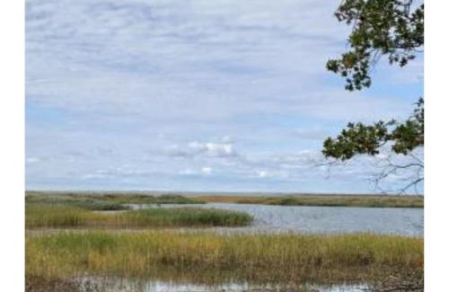 Au Gres House | Lakeview & Wildlife