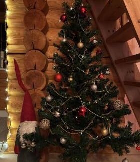 Ranua Ski Chalet | Lapin Villa Hiisi joen rannalla