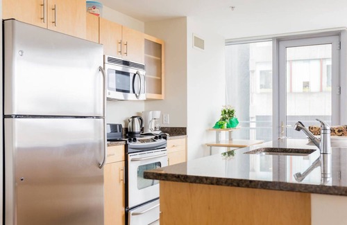 West End Apartment | Large 2 Bed/2Bth Apt right by MGH,MIT,Harvard, W/D in suite, Gorgeous River View