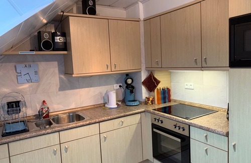 Ebsdorfergrund Apartment | Large apartment with a roof balcony