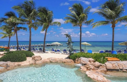 Colliers Bay House | Large bedroom apt with a kitchen big Queen bed and two Murphy beds