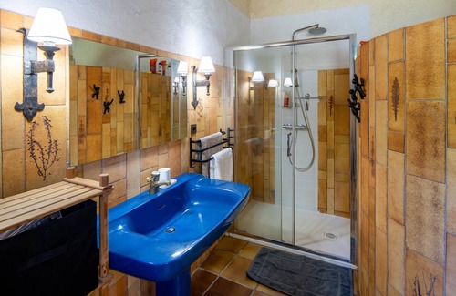 Ceret Other | Large Catalan farmhouse in nature with swimming pool, peace and mountain views