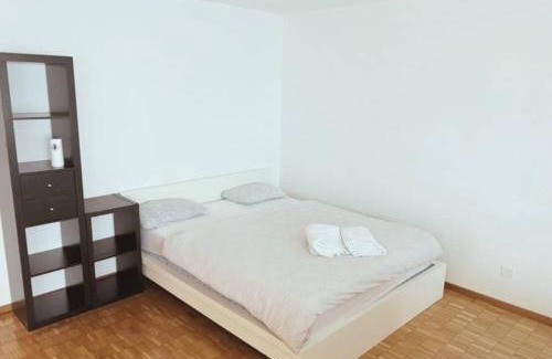 Langstrasse Apartment | Large Flat, Downtown Center next to Zurich HB Main Station Muller - Self Checkin